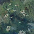 Daisy-A-Day