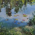 Summer is Lily Pads