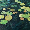 waterlilies