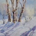 Winter Birches